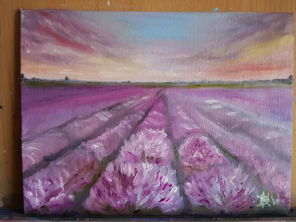 Lavandas (18x24)
